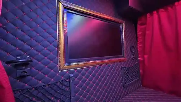 FAISAL MOVERS 6 Faisal Movers Sleeper Bus- Screen time